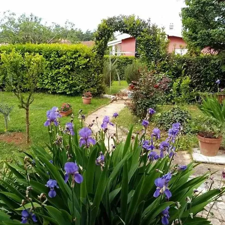 In With Terrace, Air Conditioning, Wi-fi Apartmán Savudrija